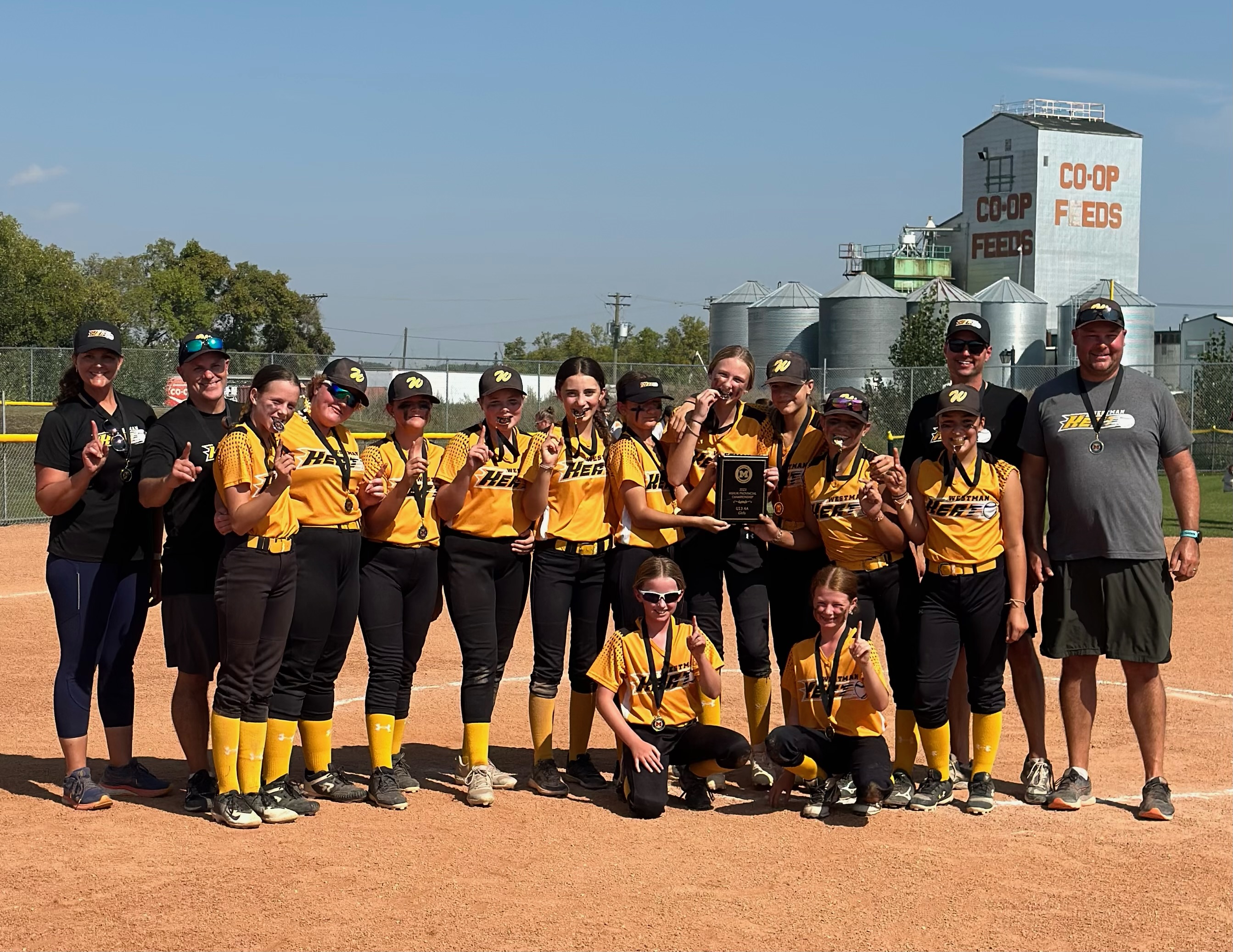 Softball Manitoba site by RAMP InterActive